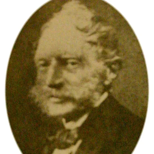 Portrait of Johan de Fin