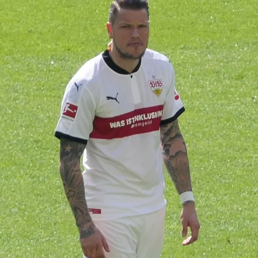 Portrait of Daniel Ginczek