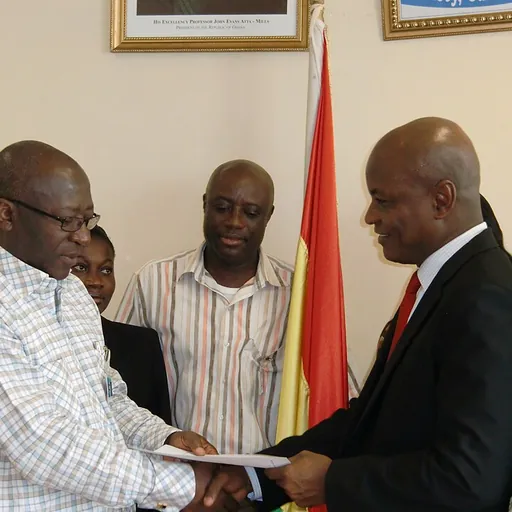Portrait of Togbe Afede