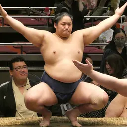 Portrait of Fujiseiun Tatsuki