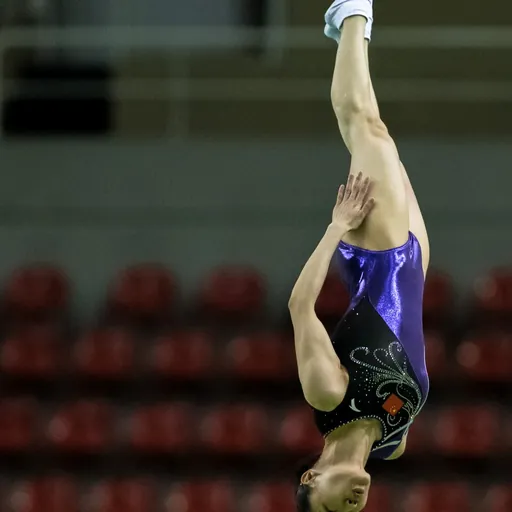 Portrait of Li Dan