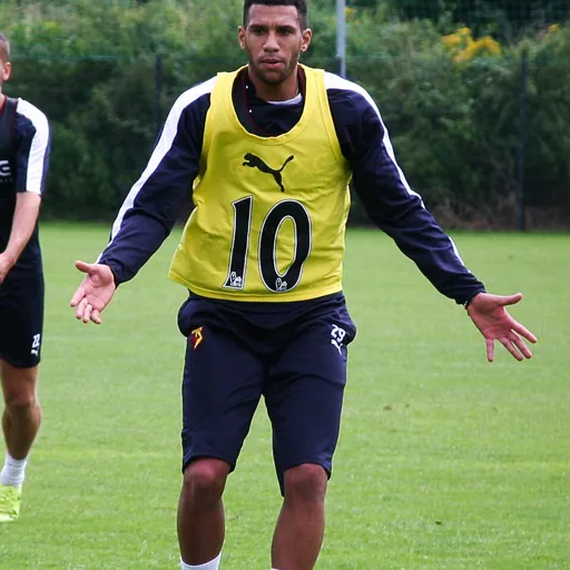 Portrait of Étienne Capoue