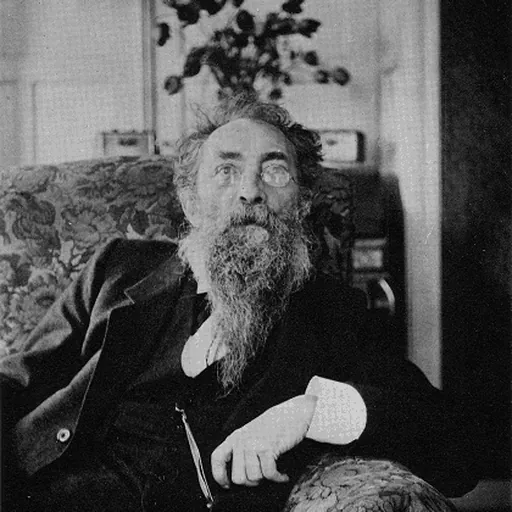 Portrait of Johan Andreas Dèr Mouw