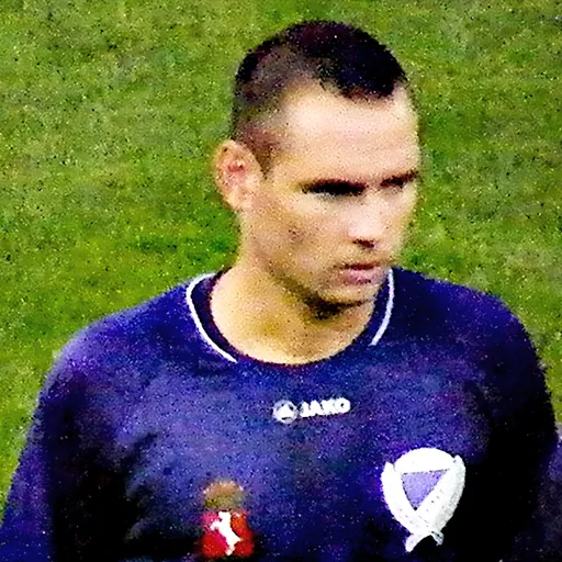Portrait of István Farkas