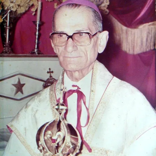 Portrait of Antônio de Castro Mayer
