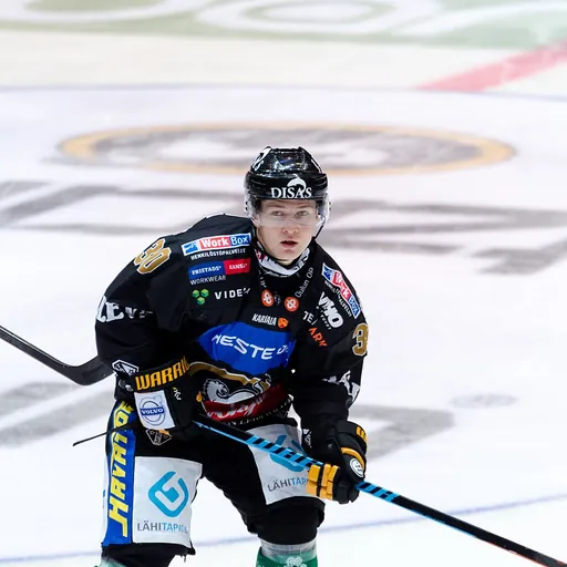Portrait of Joonas Komulainen