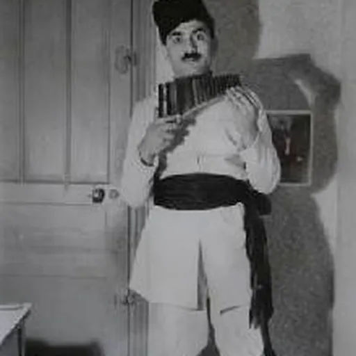 Portrait of Fănică Luca