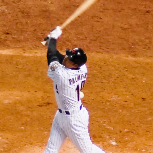 Portrait of Orlando Palmeiro