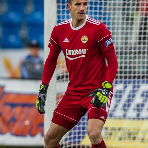 Portrait of Matej Rakovan