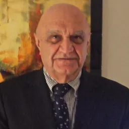 Portrait of Farrokh Saidi