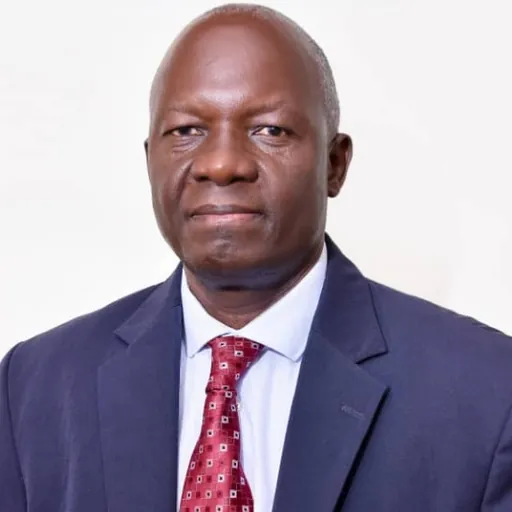 Portrait of David Guwatudde