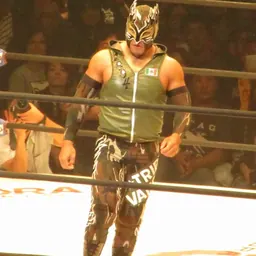 Portrait of Flamita