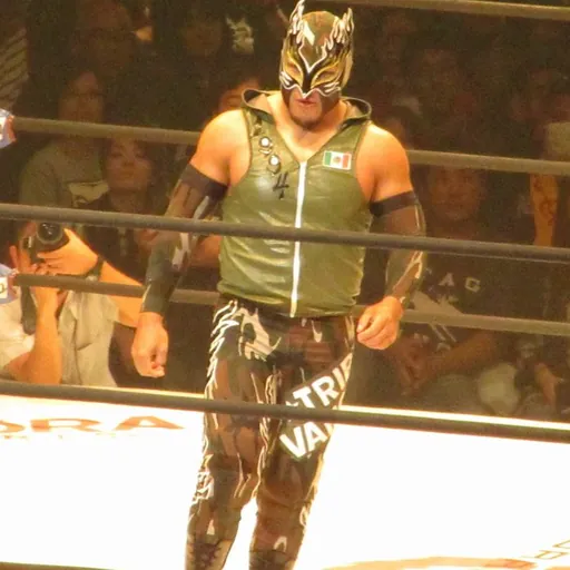 Portrait of Flamita