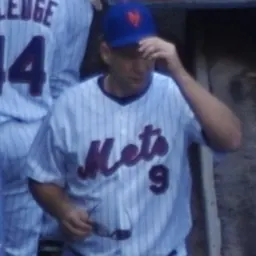 Portrait of Mike DiFelice