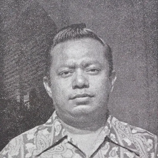 Portrait of Boes Boestami