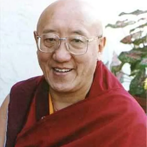 Portrait of Bokar Tulku Rinpoche