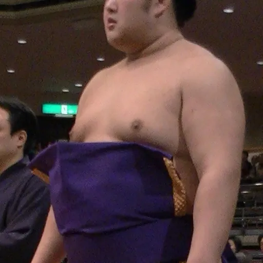 Portrait of Tochinowaka Michihiro