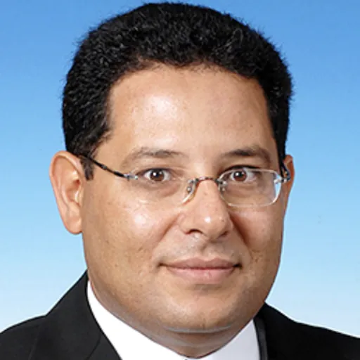 Portrait of Khaled B. Letaief