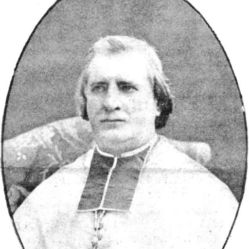Portrait of Amand-Joseph Fava