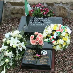 Portrait of Kieran Doherty