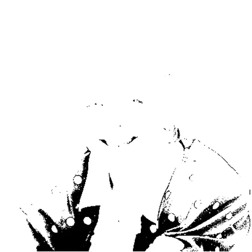 Portrait of Sonja Barend