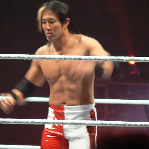 Portrait of Yoshi Tatsu