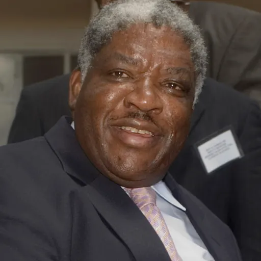 Portrait of Levy Mwanawasa