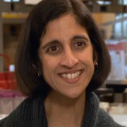 Portrait of Tejal A. Desai