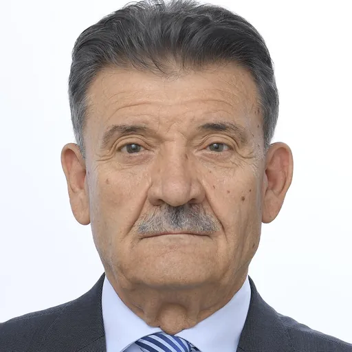 Portrait of Mircea Hava