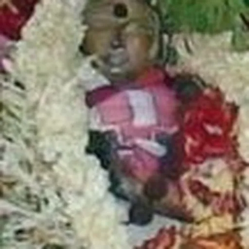 Portrait of Nami Nandi Adigal