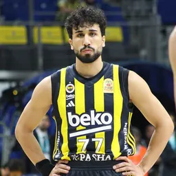 Portrait of Erten Gazi