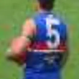Portrait of Rohan Smith