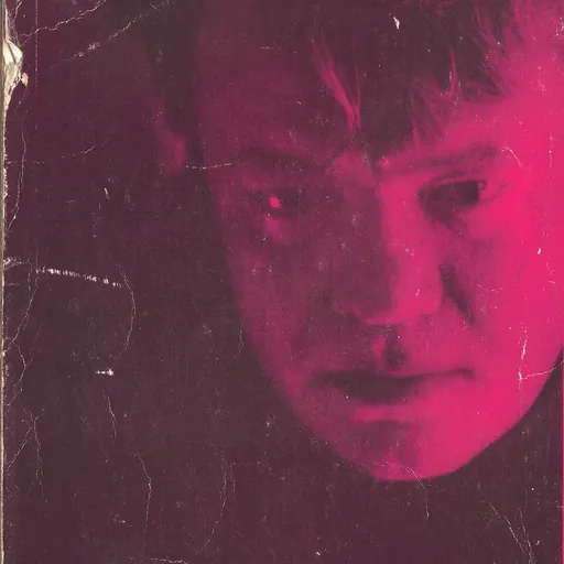 Portrait of Fănuș Neagu