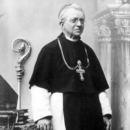 Portrait of Amédée de Bie