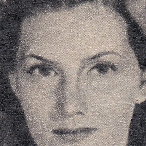 Portrait of Barbro Kollberg