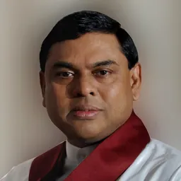 Portrait of Basil Rajapaksa