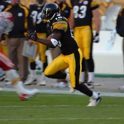 Portrait of Santonio Holmes
