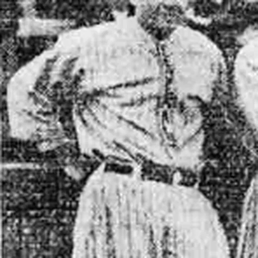 Portrait of Everett Booe