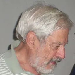 Portrait of Italo Insolera