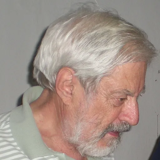 Portrait of Italo Insolera