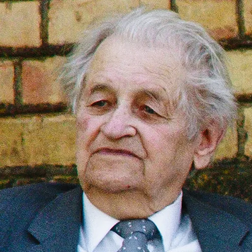 Portrait of Zigmas Zinkevičius