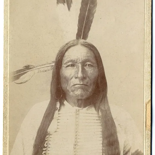 Portrait of White Bull