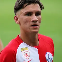 Portrait of Lukas Wallner