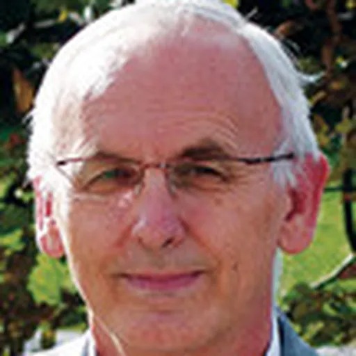 Portrait of Krešimir Pavelić