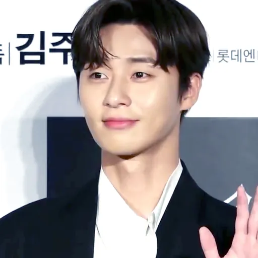 Portrait of Park Seo-joon
