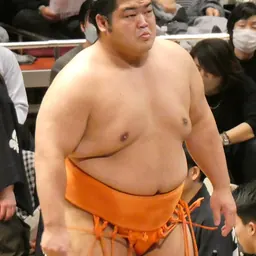 Portrait of Shimanoumi Kōyō