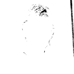 Portrait of Hanneke Kappen