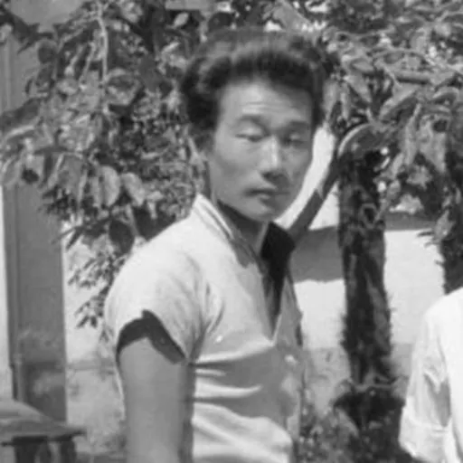 Portrait of Sei Ikeno