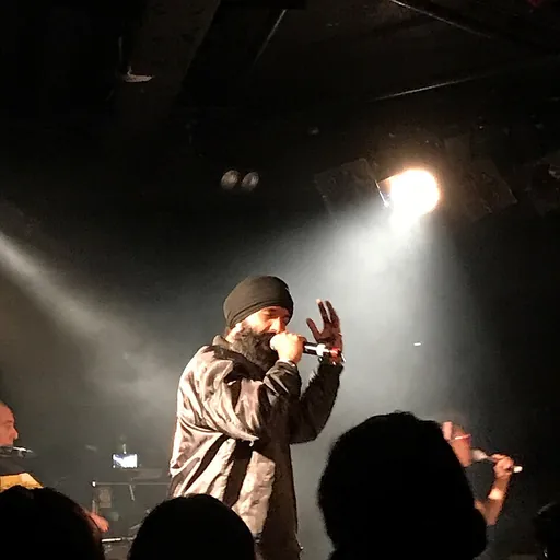 Portrait of L-FRESH the LION