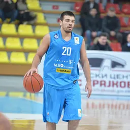 Portrait of Nikola Otašević